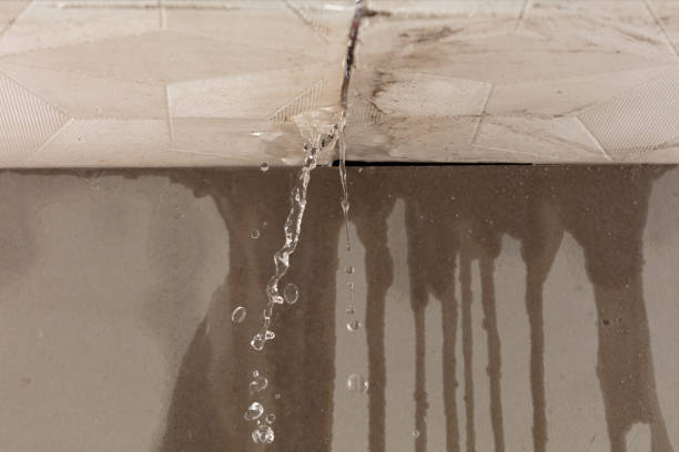 Professional Structural Drying technician working in Andover, ME